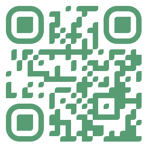 Default QR Code generated by the API